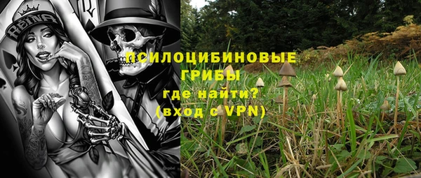 гидра Аркадак
