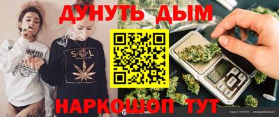 МДПВ Краснознаменск