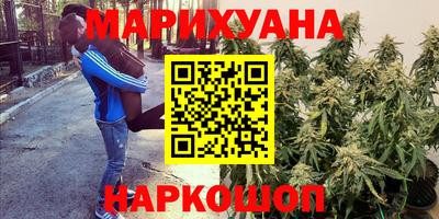 МДПВ Краснознаменск